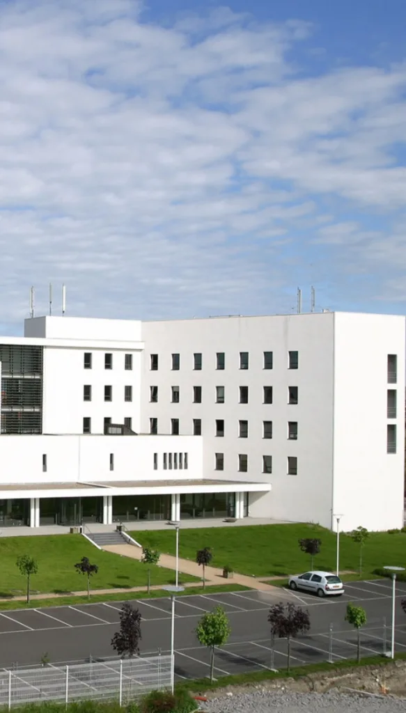 ecole de commerce clermont ferrand ecm