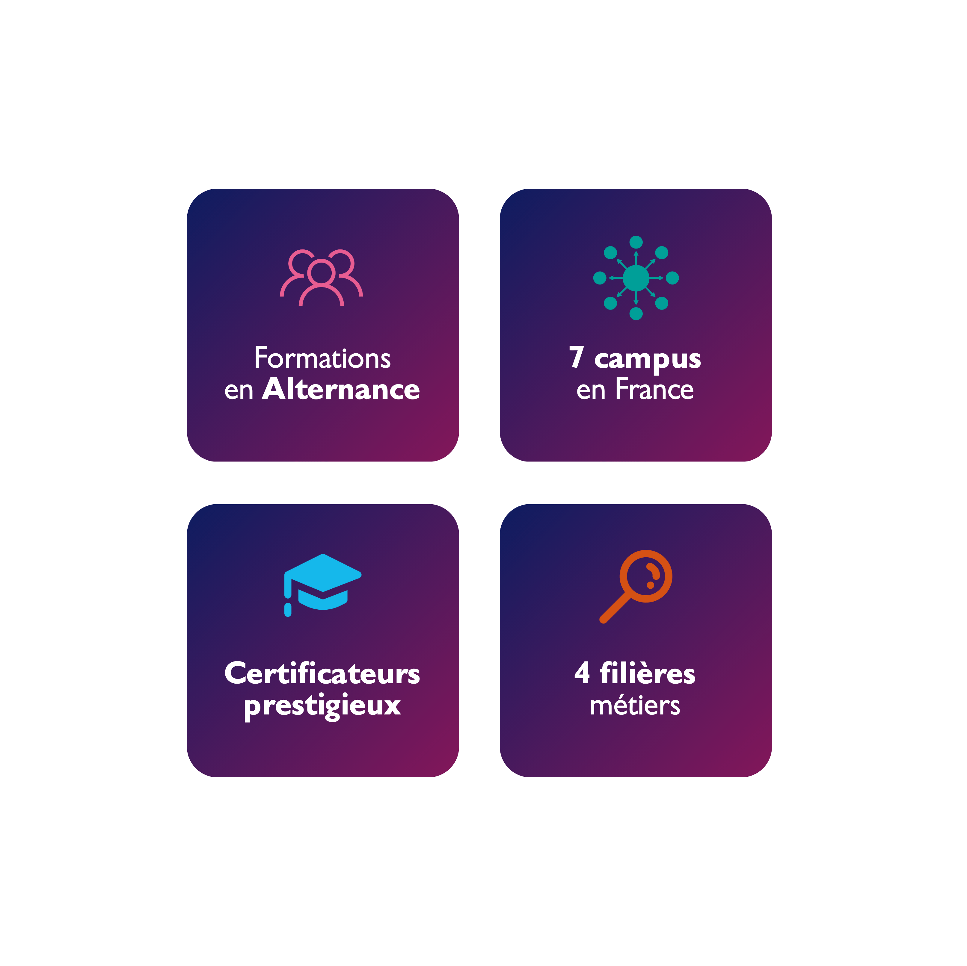 infographie parcours master ecm