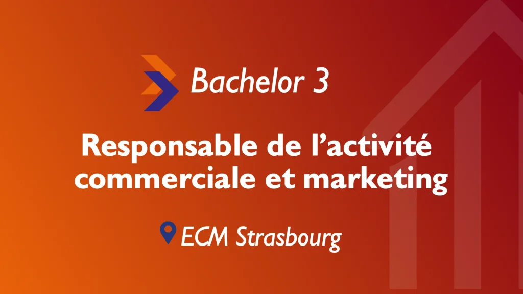 bachelor responsable dactivité commerciale et marketing strasbourg