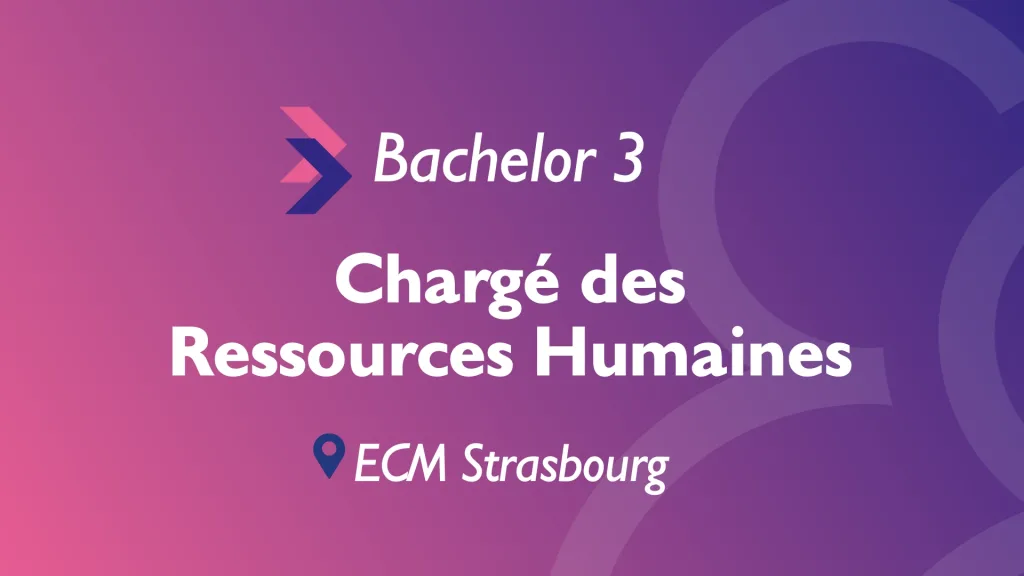 bachelor rh strasbourg