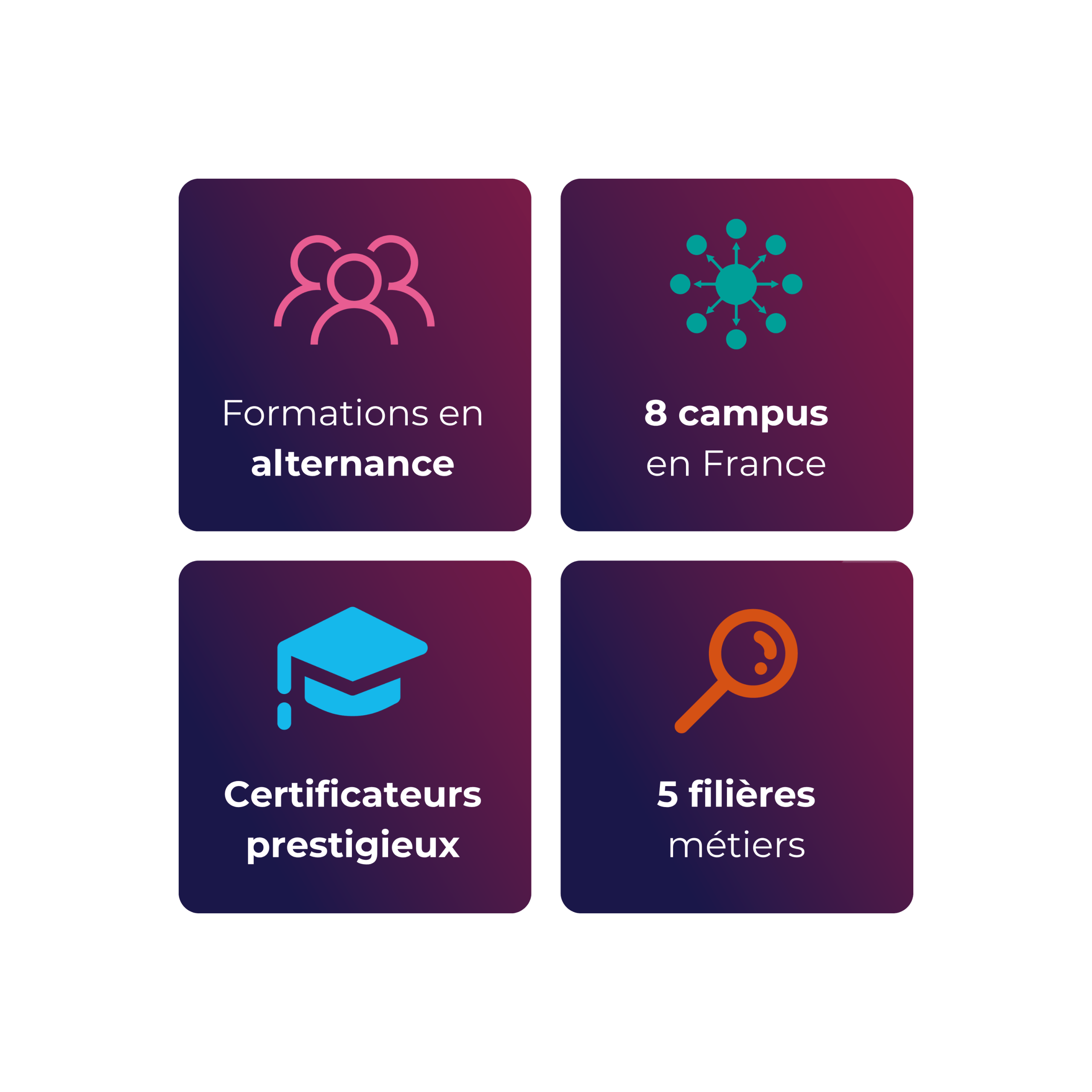 infographie parcours ecm